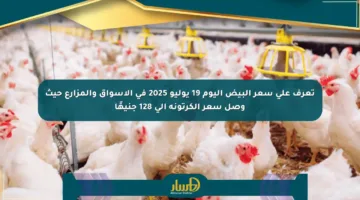 تعرف على سعر البيض اليوم 19 يوليو 2025 في الأسواق والمزارع حيث وصل سعر الكرتونة إلى 128 جنيهًا